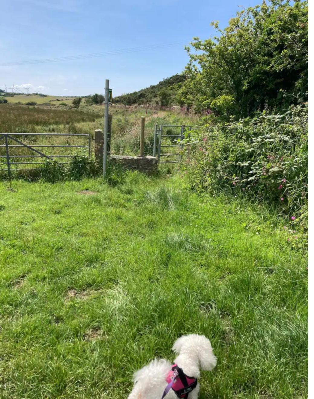 Anglesey Traditional 2 Bed Stone Cottage With Ev Amlwch Luaran gambar
